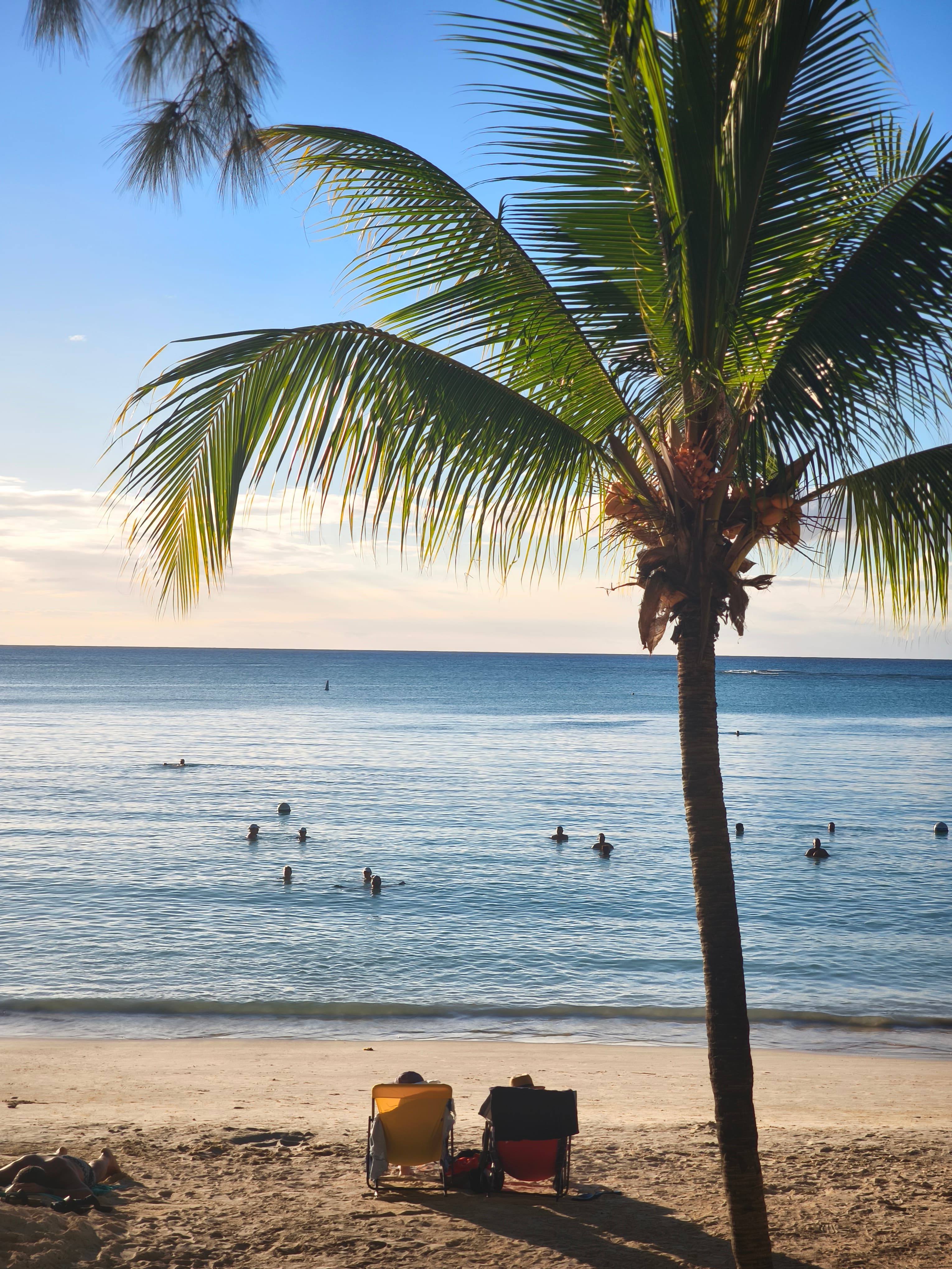Palmier et chaises de plage devant un océan bleu paisible où nagent plusieurs personnes.